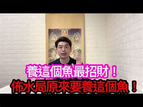 招財魚有哪些|【風水魚種類】讓住家運勢旺旺！你不可不知的十大風。